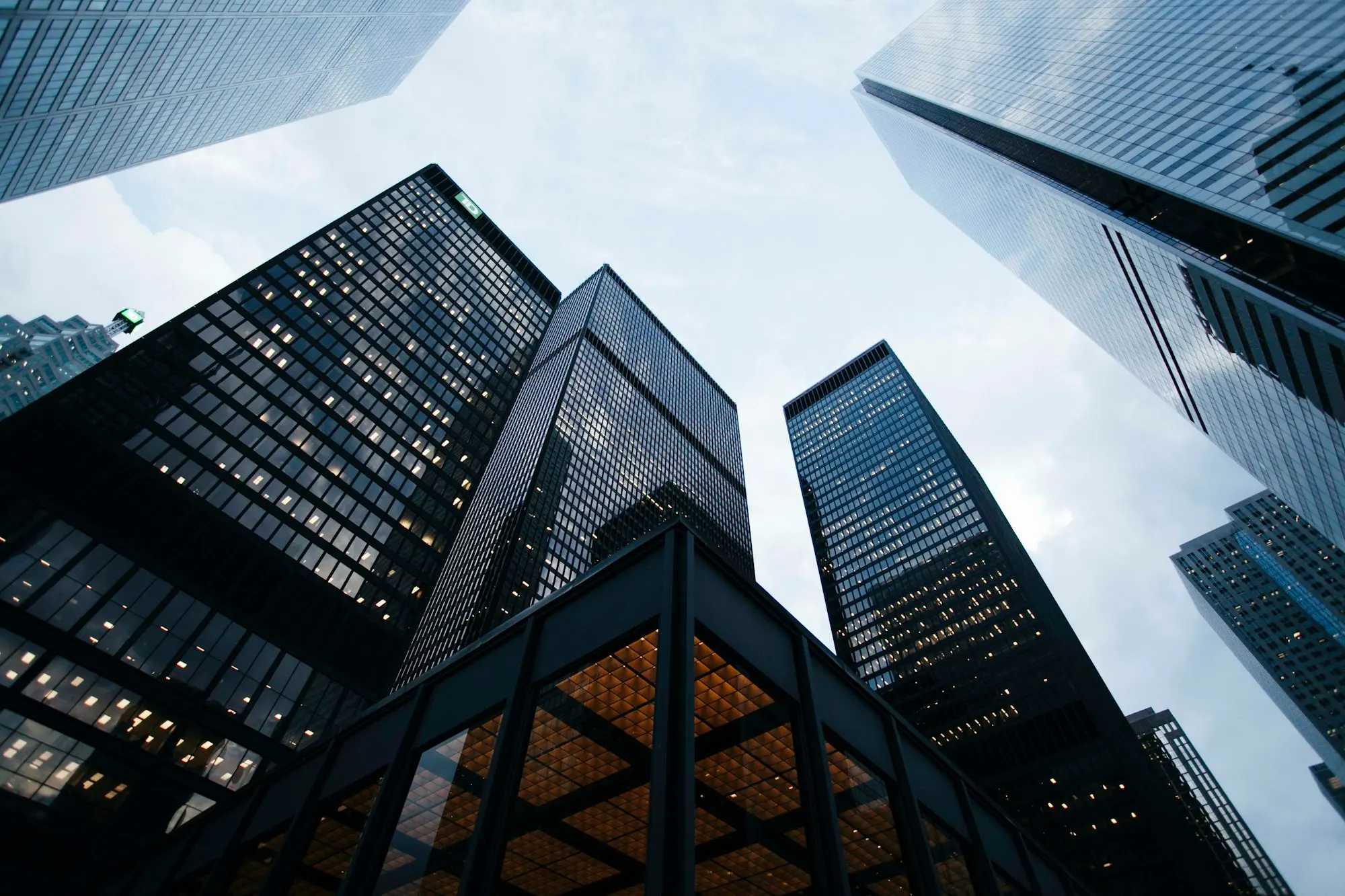Direct Eligibility for UAE Government Tenders